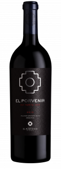 EL PORVENIR - ICONO 2019