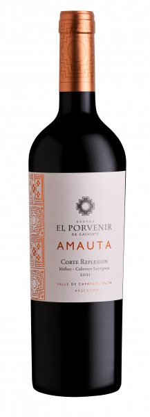 EL PORVENIR - Amauta Corte Reflexión 2021