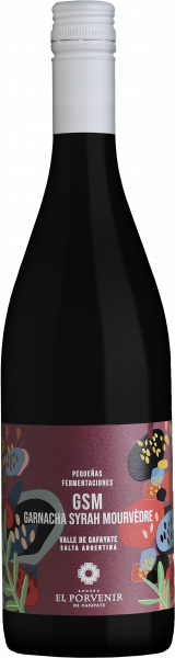 EL PORVENIR - Pequeñas Fermentationes GSM 2022